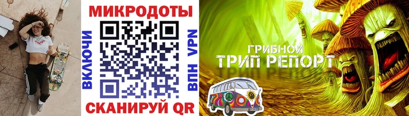 купить наркоту  Жигулёвск  Псилоцибиновые грибы Cubensis 